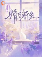 婚后新生