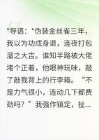 金丝雀跑路被抓，大佬却说没玩过“Cosplay”？