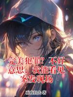 完美犯罪？不好意思，我能看见案发现场