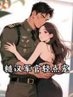 糙汉军官轻点宠