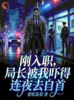 刚入职，局长被我吓得连夜去自首