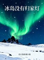 冰岛没有归家灯