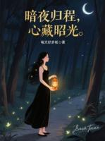 暗夜归程，心藏昭光